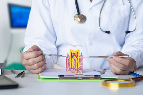 Best Emergency Gum Treatment in Rden, WA